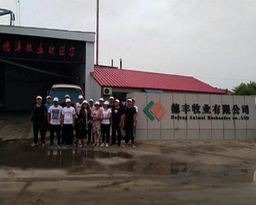 德豐牧業(yè)全體員工向全國人民問好！